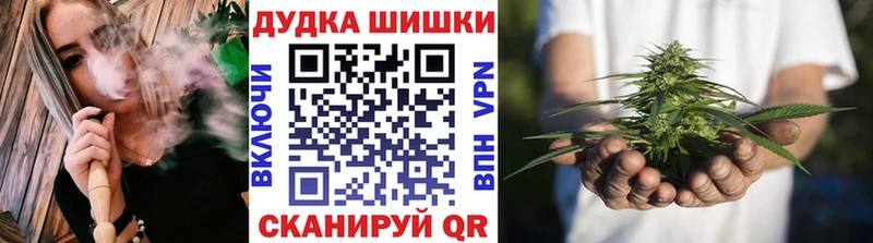 Codein Ставрополь