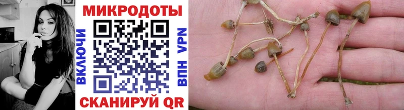 Галлюциногенные грибы MAGIC MUSHROOMS  MEGA ТОР  Ставрополь 