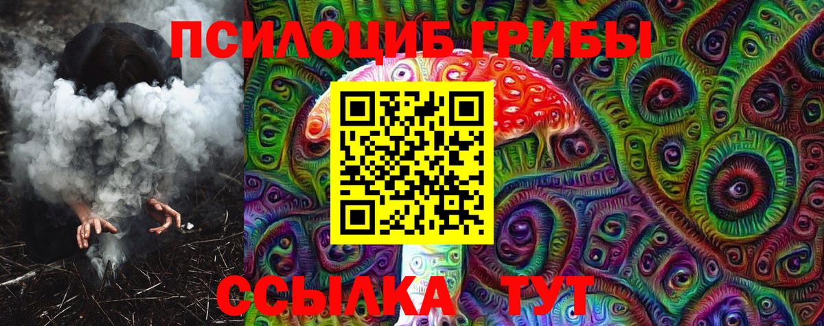 Псилоцибиновые грибы Cubensis Ставрополь