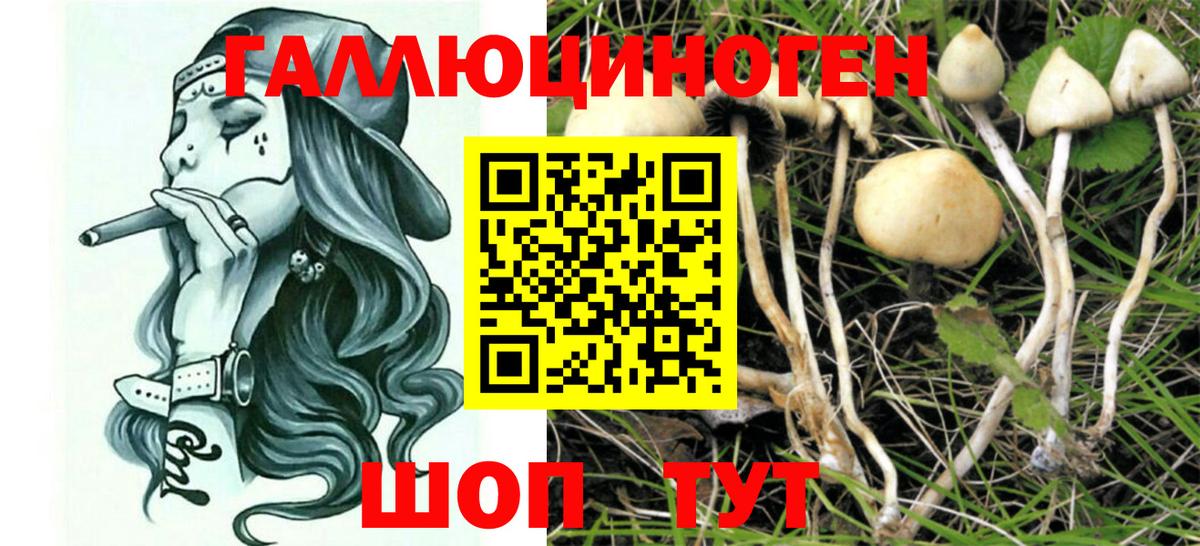 Ставрополь  Галлюциногенные грибы Cubensis  Галлюциногенные грибы мухоморы  Вход с VPN 