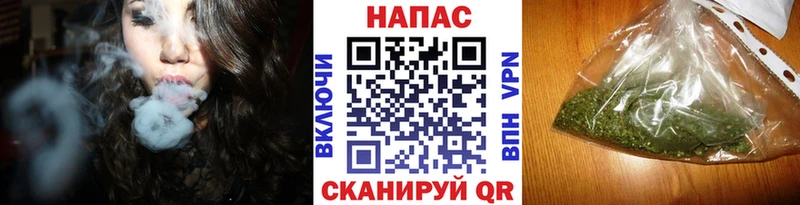 Шишки марихуана план  мега ССЫЛКА  Ставрополь  что такое  
