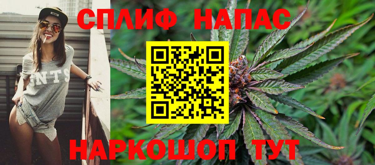 Конопля OG Kush Ставрополь